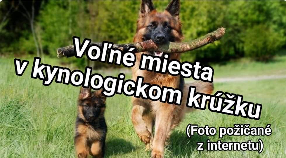 Voľné miesta v krúžkoch